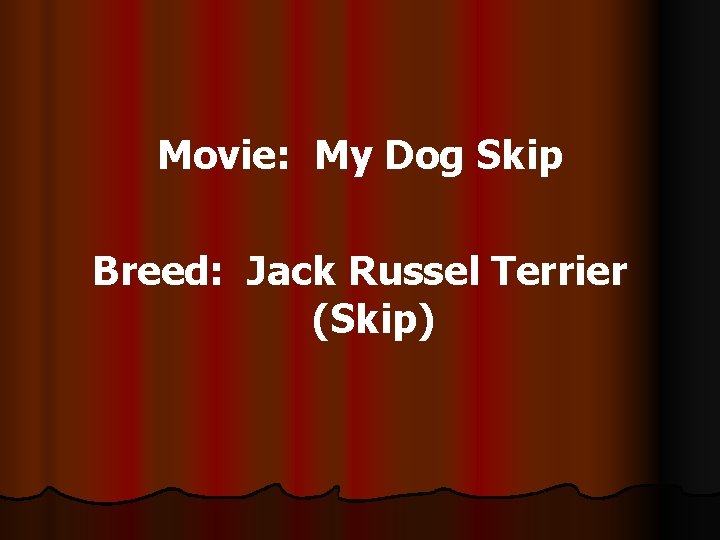 Movie: My Dog Skip Breed: Jack Russel Terrier (Skip) 