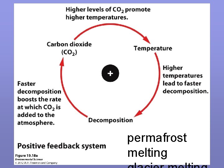 permafrost melting 