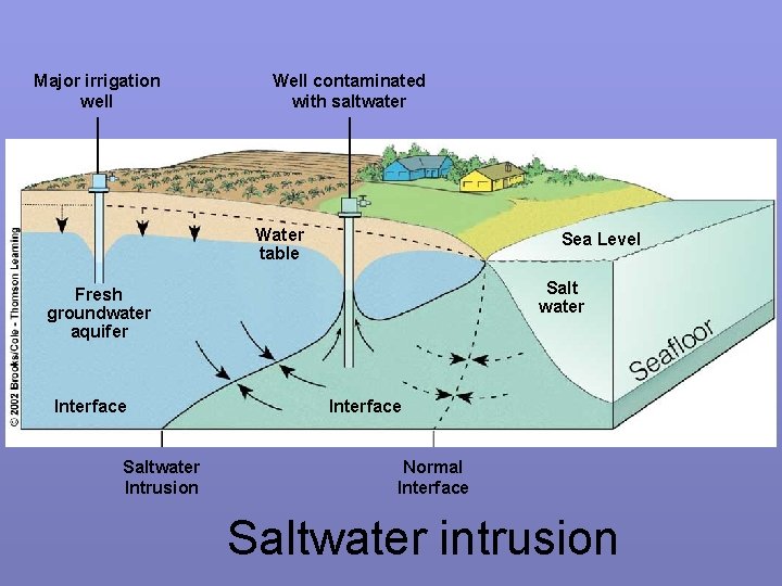 Major irrigation well Well contaminated with saltwater Water table Sea Level Salt water Fresh