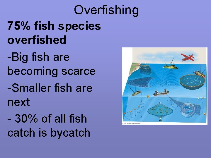 Overfishing 75% fish species overfished -Big fish are becoming scarce -Smaller fish are next
