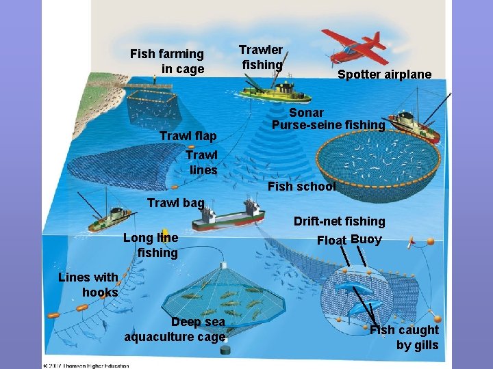 Fish farming in cage Trawl flap Trawler fishing Spotter airplane Sonar Purse-seine fishing Trawl