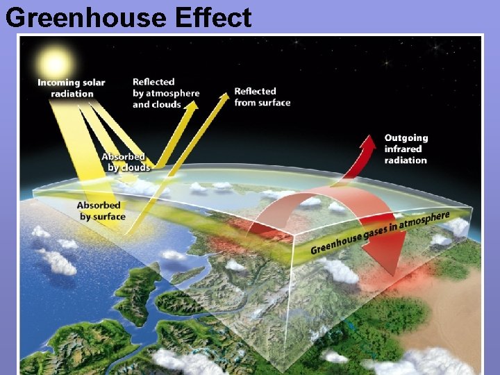 Greenhouse Effect greenhouse effect 
