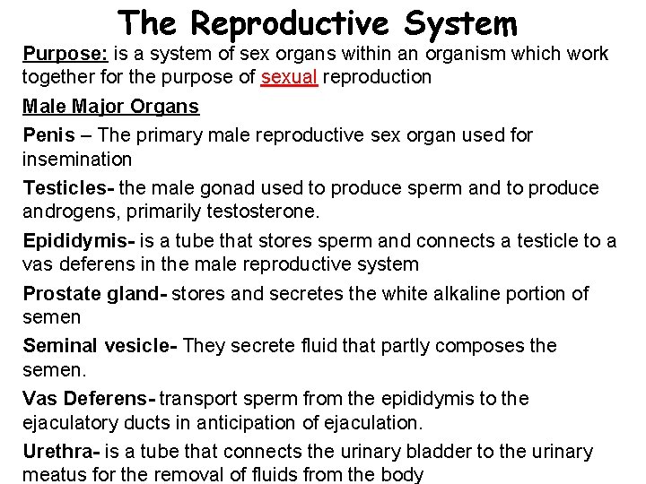 The Reproductive System Purpose: is a system of sex organs within an organism which