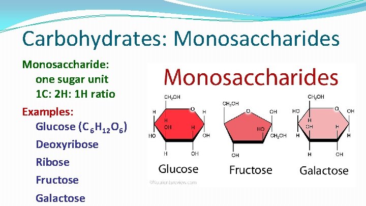 Carbohydrates: Monosaccharides Monosaccharide: one sugar unit 1 C: 2 H: 1 H ratio Examples: