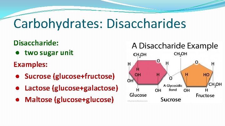 Carbohydrates: Disaccharides Disaccharide: ● two sugar unit Examples: ● Sucrose (glucose+fructose) ● Lactose (glucose+galactose)