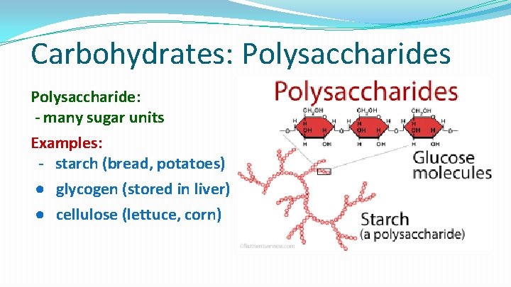 Carbohydrates: Polysaccharides Polysaccharide: - many sugar units Examples: - starch (bread, potatoes) ● glycogen