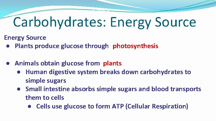 Carbohydrates: Energy Source ● Plants produce glucose through photosynthesis ● Animals obtain glucose from