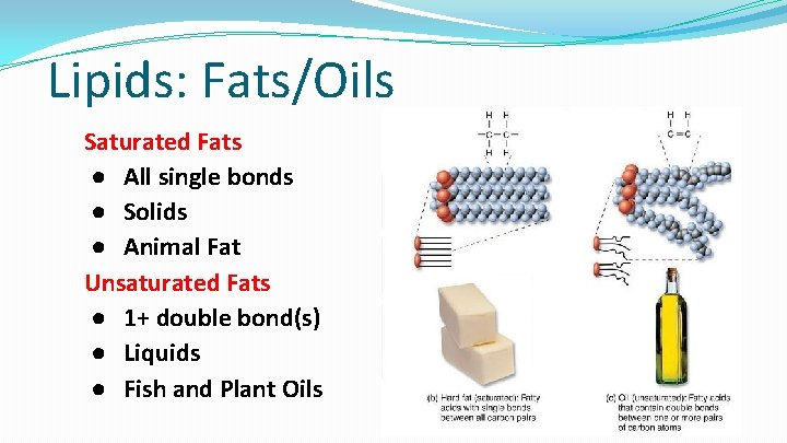 Lipids: Fats/Oils Saturated Fats ● All single bonds ● Solids ● Animal Fat Unsaturated