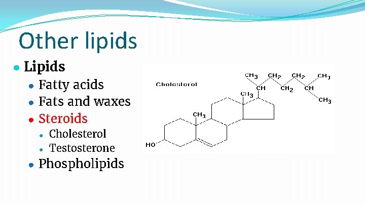 Other lipids ● Lipids ● Fatty acids ● Fats and waxes ● Steroids ●