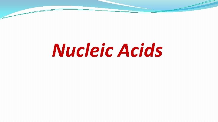 Nucleic Acids 