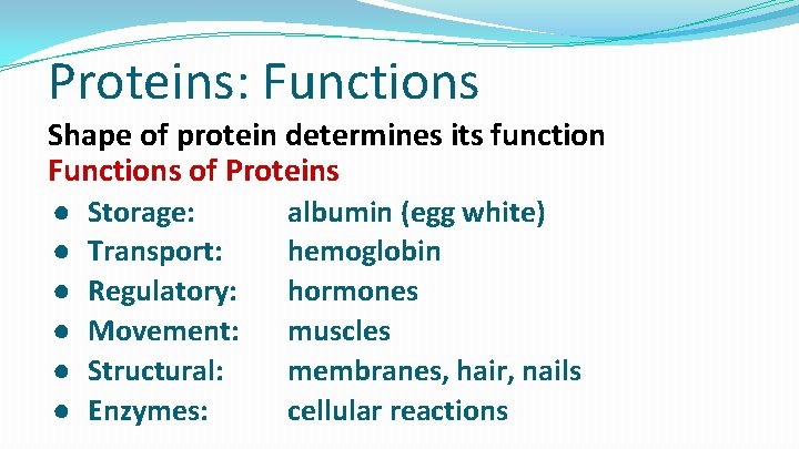 Proteins: Functions Shape of protein determines its function Functions of Proteins ● ● ●