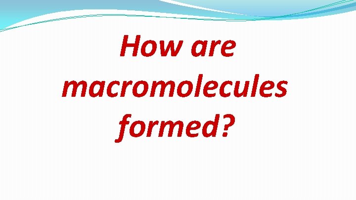 How are macromolecules formed? 