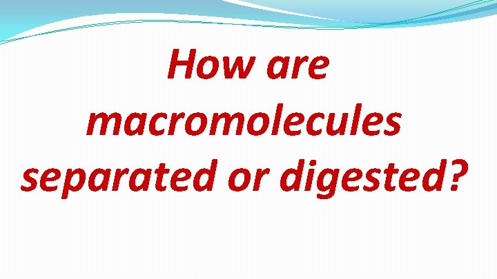 How are macromolecules separated or digested? 