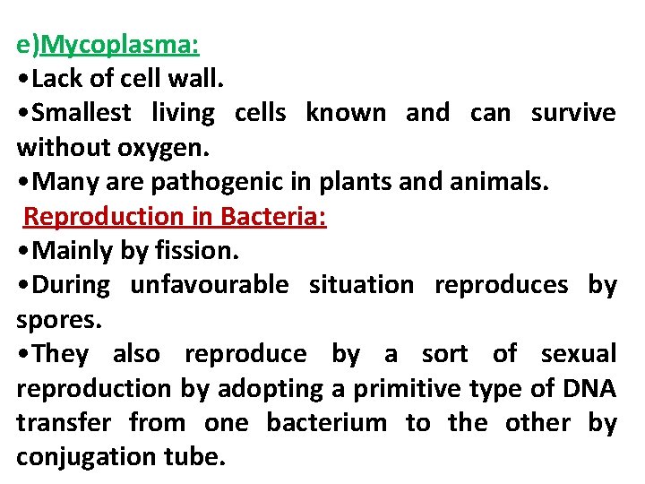 e)Mycoplasma: • Lack of cell wall. • Smallest living cells known and can survive