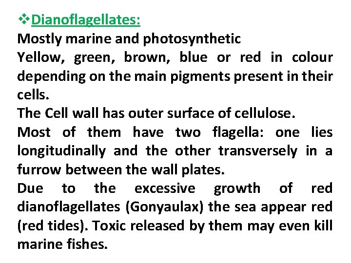 v. Dianoflagellates: Mostly marine and photosynthetic Yellow, green, brown, blue or red in colour