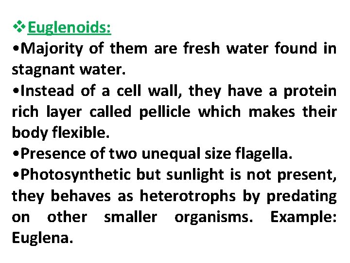 v. Euglenoids: • Majority of them are fresh water found in stagnant water. •