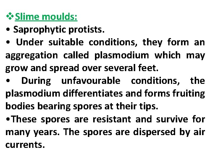 v. Slime moulds: • Saprophytic protists. • Under suitable conditions, they form an aggregation