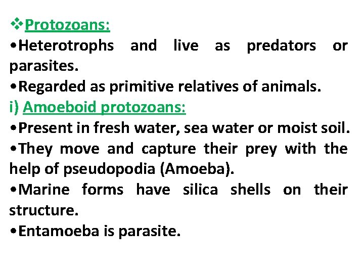 v. Protozoans: • Heterotrophs and live as predators or parasites. • Regarded as primitive
