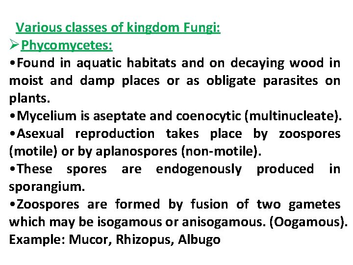 Various classes of kingdom Fungi: ØPhycomycetes: • Found in aquatic habitats and on decaying