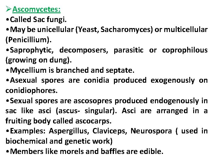 ØAscomycetes: • Called Sac fungi. • May be unicellular (Yeast, Sacharomyces) or multicellular (Penicillium).