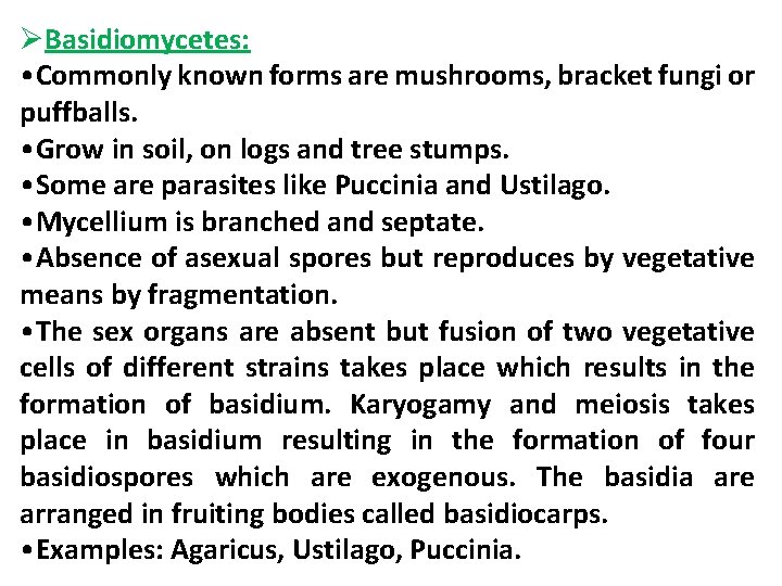 ØBasidiomycetes: • Commonly known forms are mushrooms, bracket fungi or puffballs. • Grow in