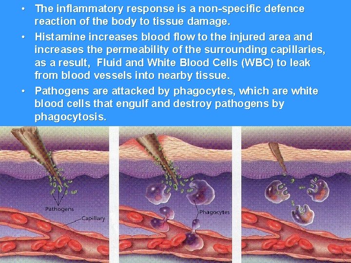  • The inflammatory response is a non-specific defence reaction of the body to