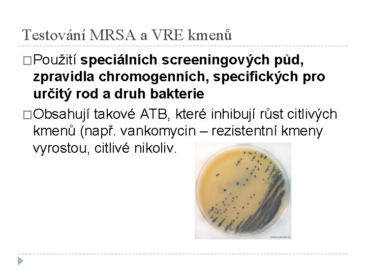 Testování MRSA a VRE kmenů �Použití speciálních screeningových půd, zpravidla chromogenních, specifických pro určitý