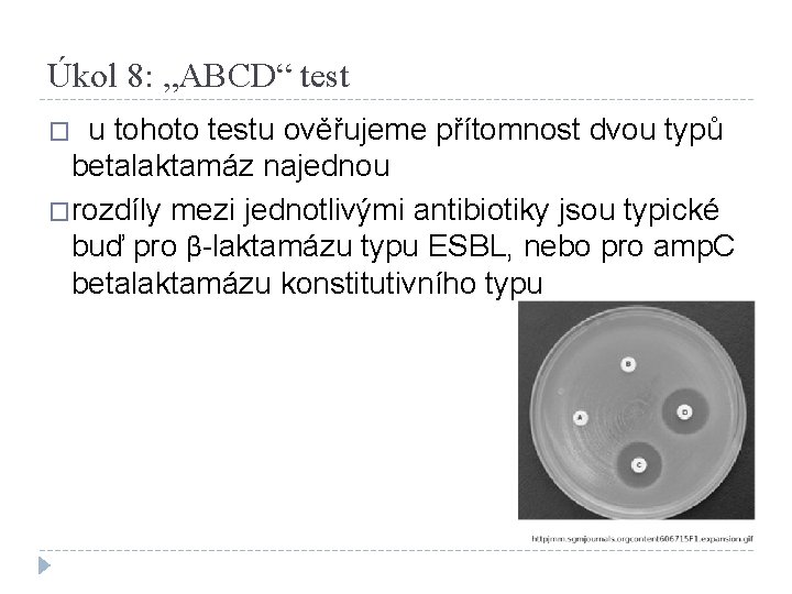 Úkol 8: „ABCD“ test u tohoto testu ověřujeme přítomnost dvou typů betalaktamáz najednou �rozdíly