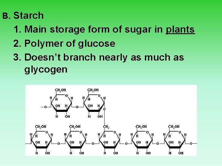 B. Starch 1. Main storage form of sugar in plants 2. Polymer of glucose
