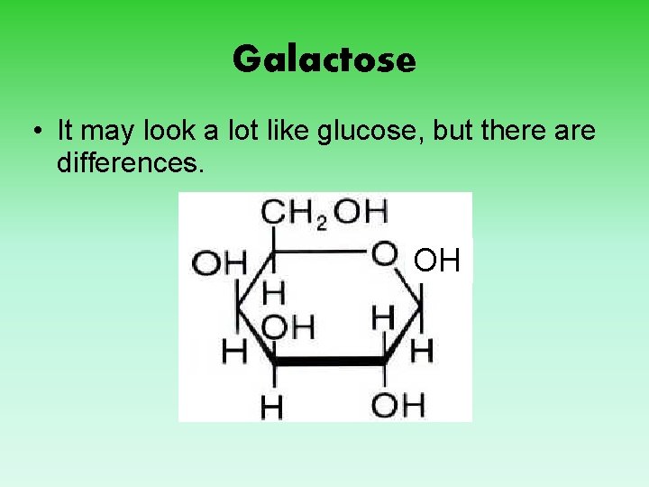 Galactose • It may look a lot like glucose, but there are differences. OH
