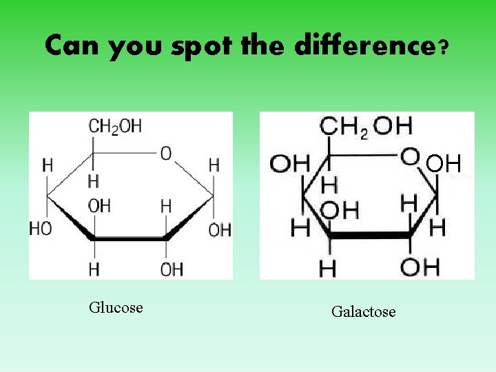 Can you spot the difference? OH Glucose Galactose 