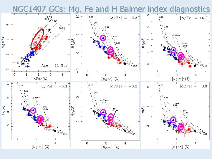 NGC 1407 GCs: Mg, Fe and H Balmer index diagnostics 