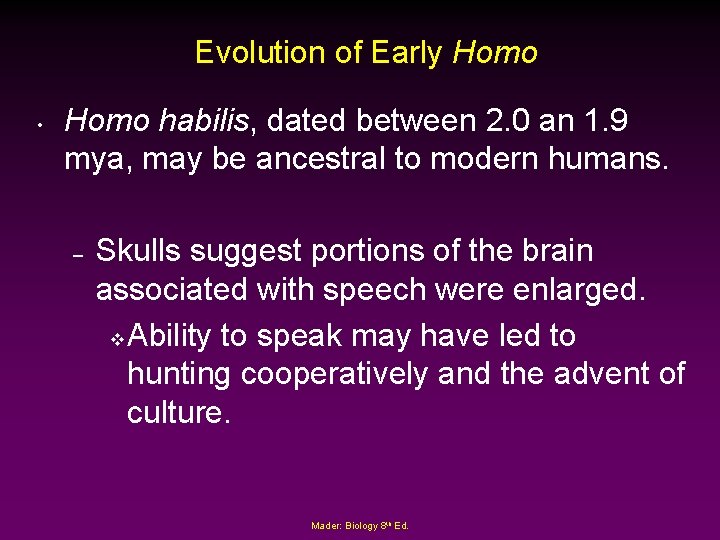 Evolution of Early Homo • Homo habilis, dated between 2. 0 an 1. 9