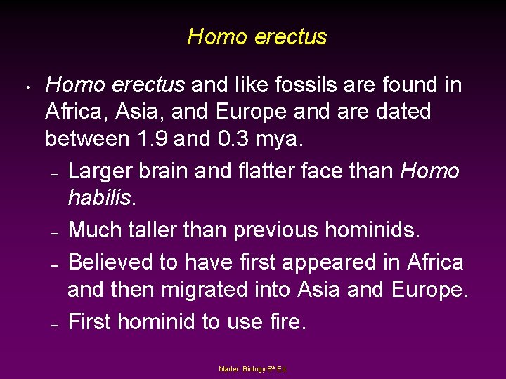 Homo erectus • Homo erectus and like fossils are found in Africa, Asia, and
