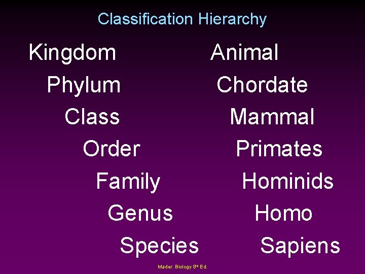 Classification Hierarchy Kingdom Animal Phylum Chordate Class Mammal Order Primates Family Hominids Genus Homo