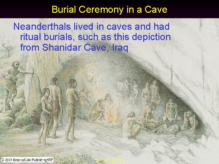 Burial Ceremony in a Cave Neanderthals lived in caves and had ritual burials, such
