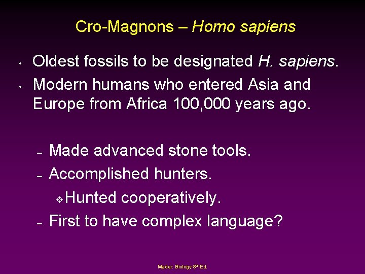 Cro-Magnons – Homo sapiens • • Oldest fossils to be designated H. sapiens. Modern