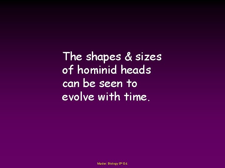 The shapes & sizes of hominid heads can be seen to evolve with time.