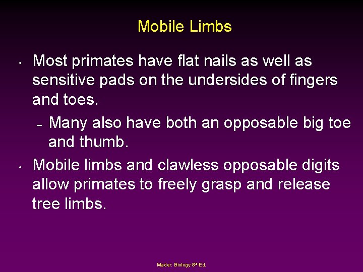 Mobile Limbs • • Most primates have flat nails as well as sensitive pads