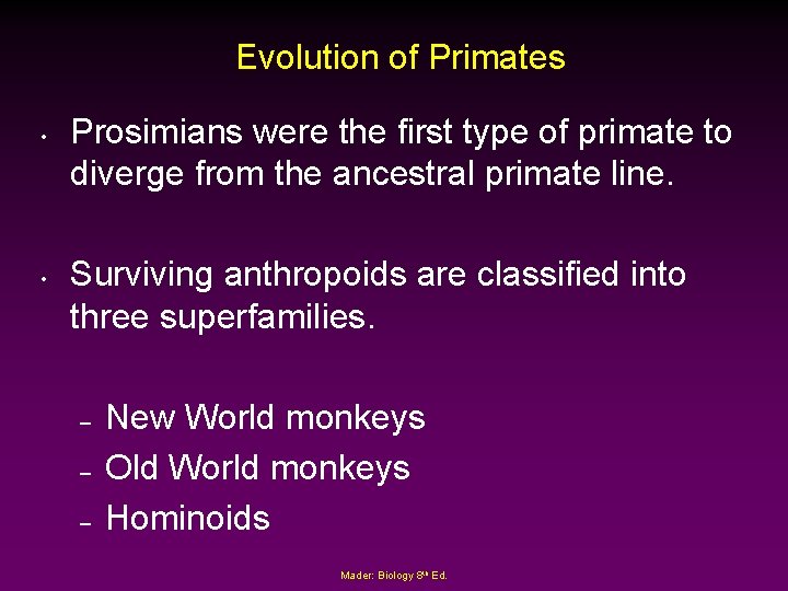 Evolution of Primates • • Prosimians were the first type of primate to diverge