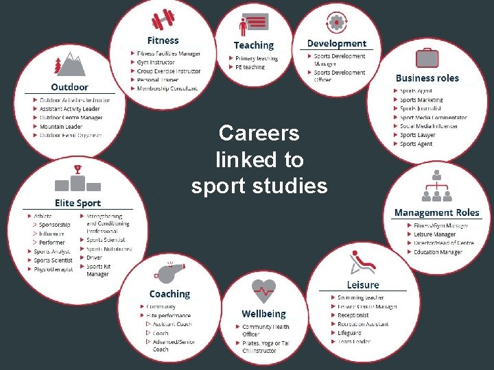 Careers linked to sport studies 