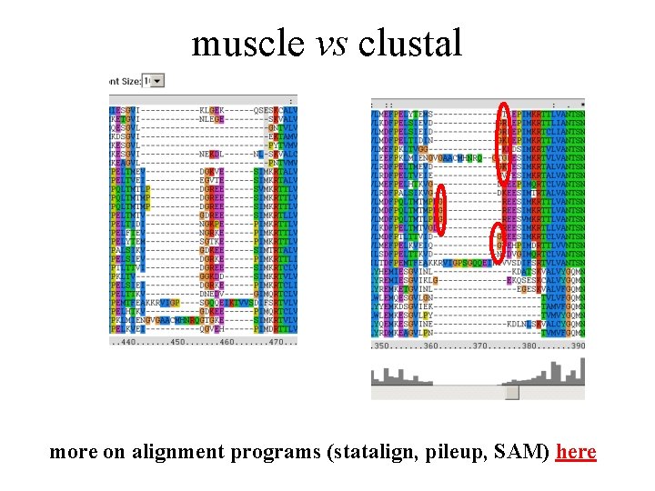 muscle vs clustal more on alignment programs (statalign, pileup, SAM) here 