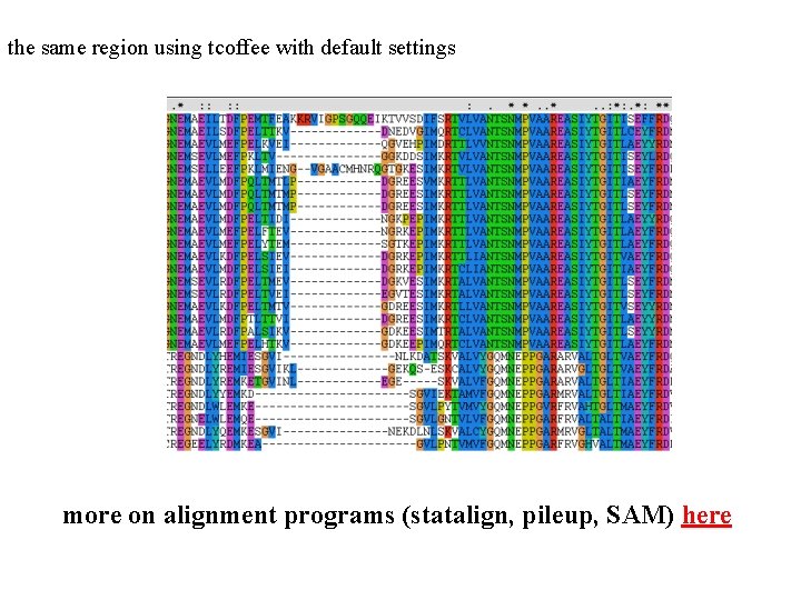 the same region using tcoffee with default settings more on alignment programs (statalign, pileup,