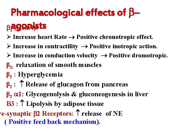 Pharmacological effects of – 1 agonists (Heart): Ø Increase heart Rate Positive chronotropic effect.