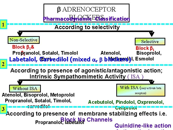 1 2 ADRENOCEPTOR BLOCKERS Pharmacodynamic Classification According to selectivity Non-Selective Block 1& 2 Propranolol,