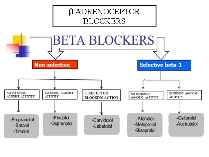  ADRENOCEPTOR BLOCKERS 