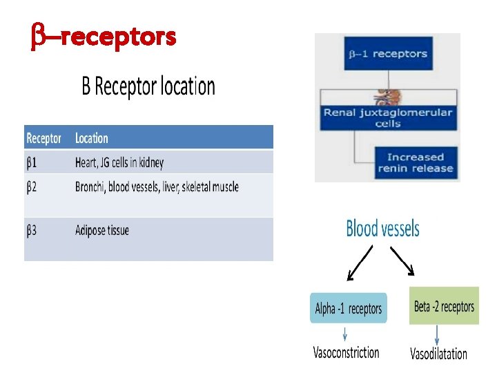  –receptors 