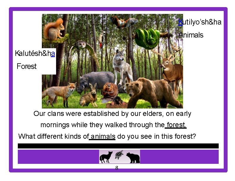 Kutilyo’sh&ha Animals Kalutésh&ha Forest Our clans were established by our elders, on early mornings