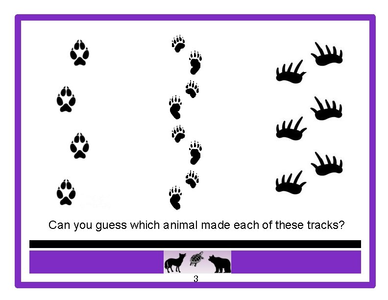 Can you guess which animal made each of these tracks? 3 