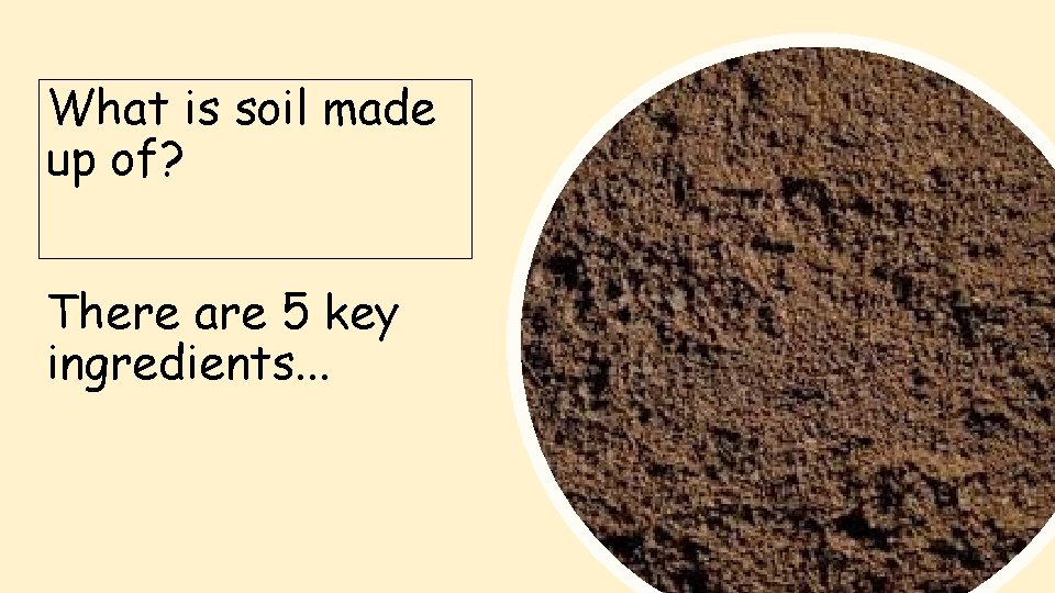 What is soil made up of? There are 5 key ingredients. . . 